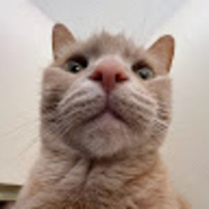 Meet your Posher, Racquel